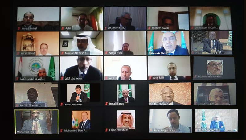 المنظمة العربية للطيران المدني تشارك في اجتماع الدورة ( 29 ) للجنة المنظمات للتنسيق والمتابعة المنبثقة عن المجلس الاقتصادي والاجتماعي