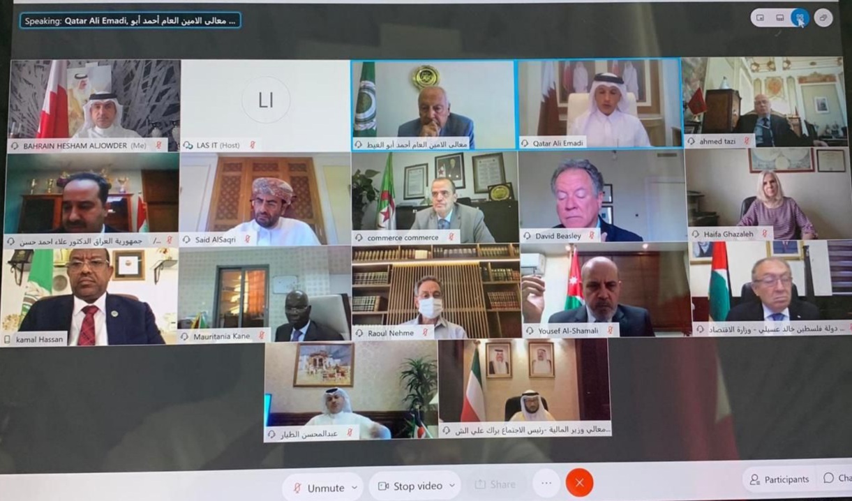 المنظمة العربية للطيران المدني تشارك في الدورة 106 للمجلس الاقتصادي والاجتماعي على المستوى الوزاري