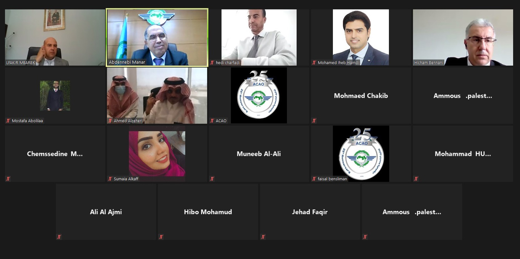 اجتماع الدورة 46 لاجتماع لجنة السلامة الجوية للمنظمة العربية للطيران المدني